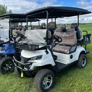 SDLCG80 GOLF CART WHITE 12 INCH OFF-ROAD TIRES, THICK ANTI-COLLISION, 10.1-INCH LARGE SCREEN WITH REVERSE IMAGE, LUXURIOUS SEATS WITH HEADRESTS, FRONT
