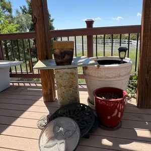 Large Planters and Birdbath