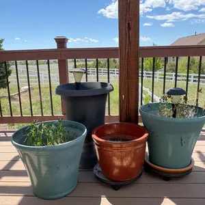 Large Planters