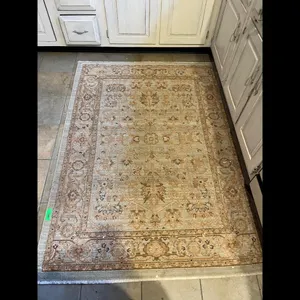 Light Blue Tan Area Rug