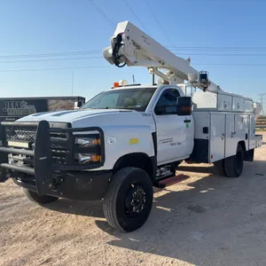 ETI 2020 CHEVROLET 6500 BUCKET TRUCK VIN: 1HTKJPVM3LH369096