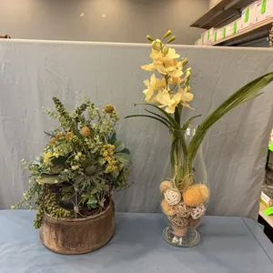 2 - Decorative Plants
