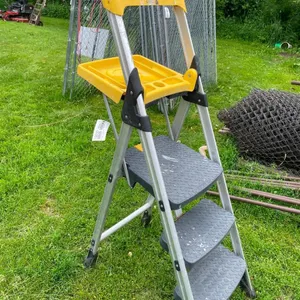 Cosco Step Ladder