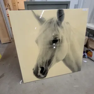 Glossy Acrylic Horse Head Monochrome Art Print on Panel 47 x 47"