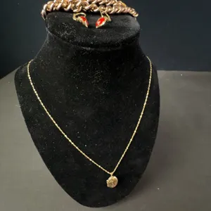 10k Gold Chain with Hand Made Locket, Ladybug earrings and bracelet