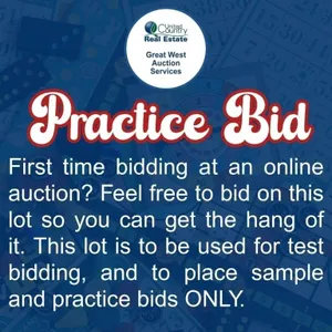 First time bidding at an online auction?