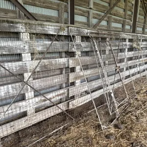 Shop Built Dog Run 5�x 24�