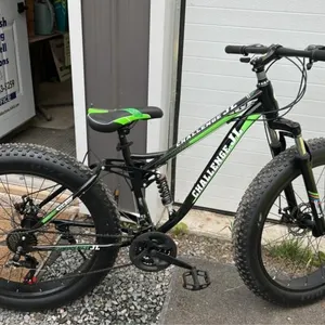 Fat bike