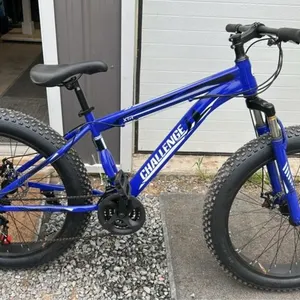 Fat bike