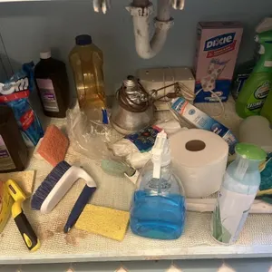 Cleaning supplies, heating light, peroxide, etc.