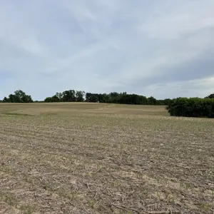 33.01 Acre Real Estate Auction - Town of Washington