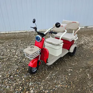 ELECTRIC TRICYCLE - MGC40