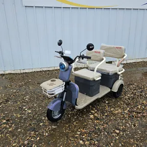 ELECTRIC TRICYCLE - MGC40 (See Description)