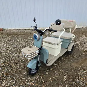 ELECTRIC TRICYCLE - MGC40