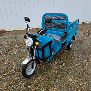 ELECTRIC TRICYCLE - ET13