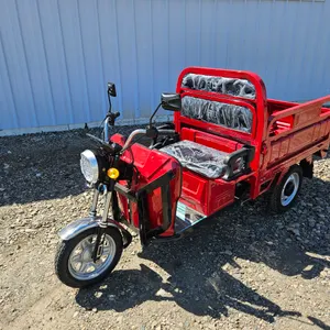 ELECTRIC TRICYCLE - ET13