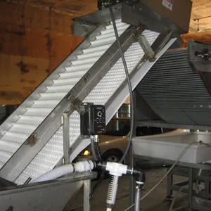 Cherry Pitting Processing Line Package Offer