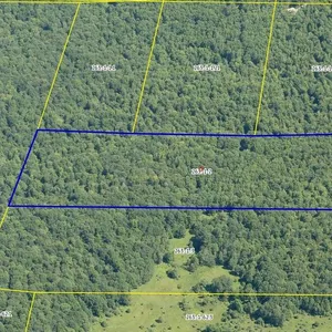 Allegany County-Tax Foreclosed Real Estate (ONLINE ONLY EVENT) #45733