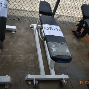 Athletic Training Bench