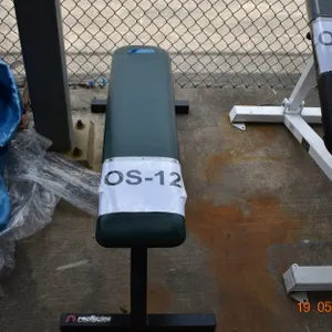 Athletic Training Bench