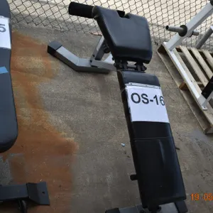 Athletic Training Bench