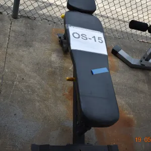 Athletic Training Bench