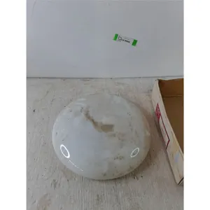 Glass Ceiling Light Cover