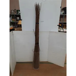 *Bundle of Stick in Glass Vase No Shipping