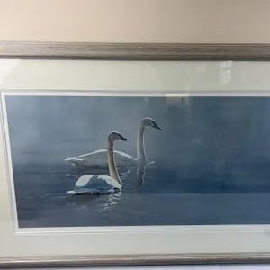 Swan Art Print by T. Isaac 89'