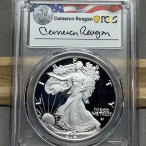 2021-WT2 Slab Proof Silver Eagle PCGS MS69 DCAM