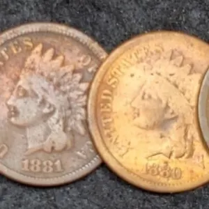 (4) Indian Head Cents: 1880, 81, 82, 83