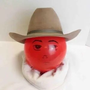 Vintage Western Cowboy Hat Felt