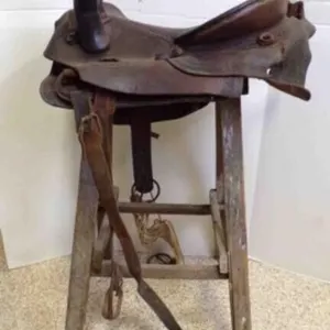 Historic/Rare Sidesaddle Late-19th/Early 20th