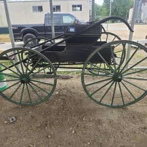 1 Horse carriage