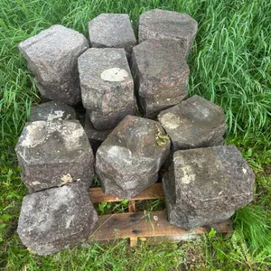 (25) Paving Stone Bricks