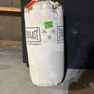 Everlast Punching Bag