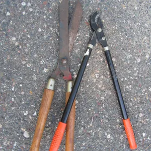 Loppers And Hedge Shears
