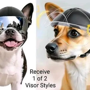 New Small-Size Dog Motorcycle Helmet With EITHER Mirrored or Clear Visor, Padded Inside, Ear Holes & Chin Strap (Random Visor Style)