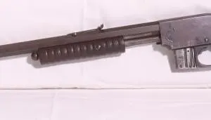 Savage 22 SL & LR Rifle W/ Clip