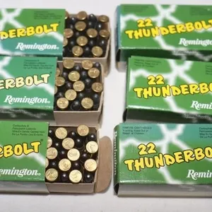 300 Rounds Remington Thunderbolt 22 LR