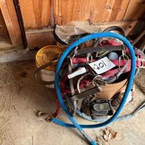 Bucket Organizer & Horse Care Items