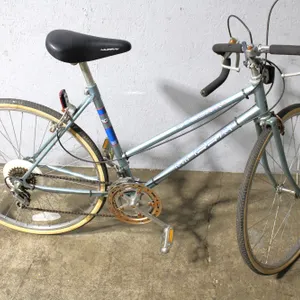 Murray Phoenix 10-Speed Road Bicycle