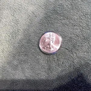 2013 Silver American Eagle dollar