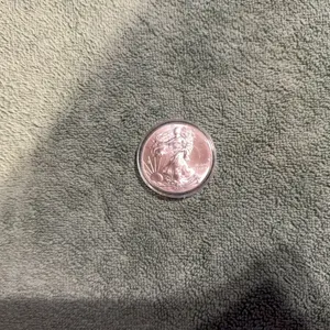 2013 Silver American Eagle dollar