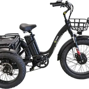 SHOK Triode - 3-Wheel Ebike / Trike, 48V, 500W, 13Ah 624Wh.