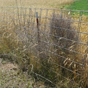 2 - 4' x 16' Cattle Panels