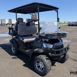 2026 SDLGC80 Electric Golf Cart
 UNRESERVED