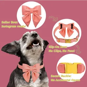Maca Bates Candy Pink Dog Collar with Cute Solid Sailor Bow Tie Candy Pink