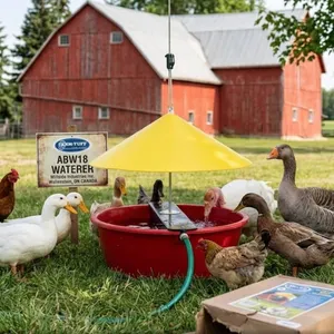 Farm-Tuff Automatic Bird Waterer