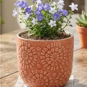 Stone & Beam Floral Embossed Planter Small